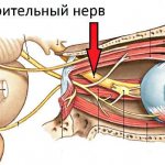 PAZN - partial atrophy of the optic nerve of the eye