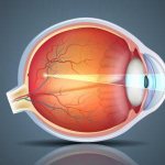 How to choose eye vitamins for older people