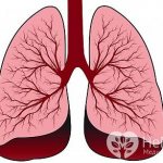 Lungs: structure, functions