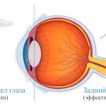 Preparations for strengthening and preventing retinal diseases