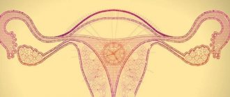 Ovarian, fallopian tube and peritoneal cancer - prevention