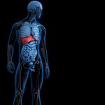 Disorders of the functions of internal organs - Alkoklinik